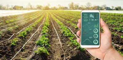 Crean una comunidad digital para que productores agropecuarios compartan datos