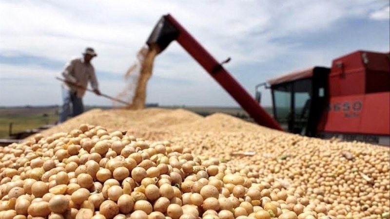 El Gobierno Nacional suspendió las exportaciones de harina y aceite de soja