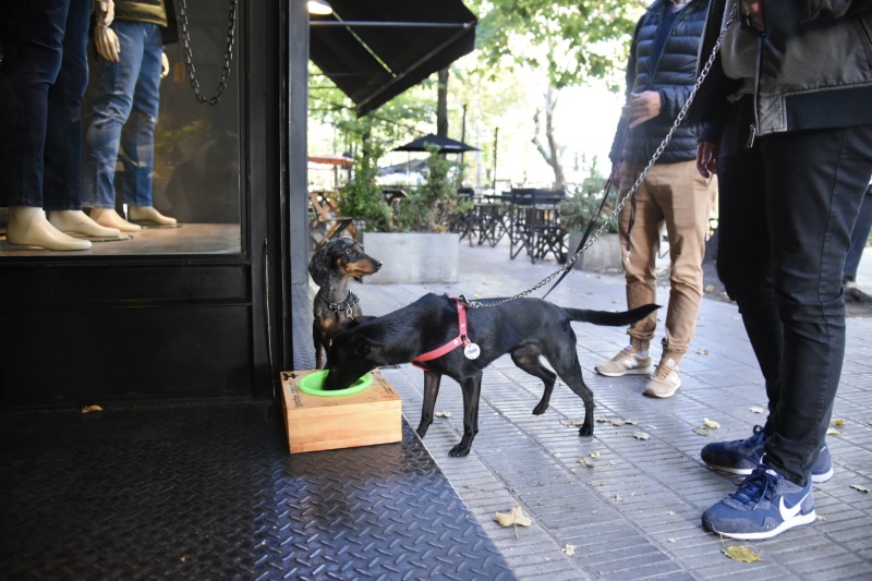 La Plata: Instalan bebederos para mascotas en paseos comerciales