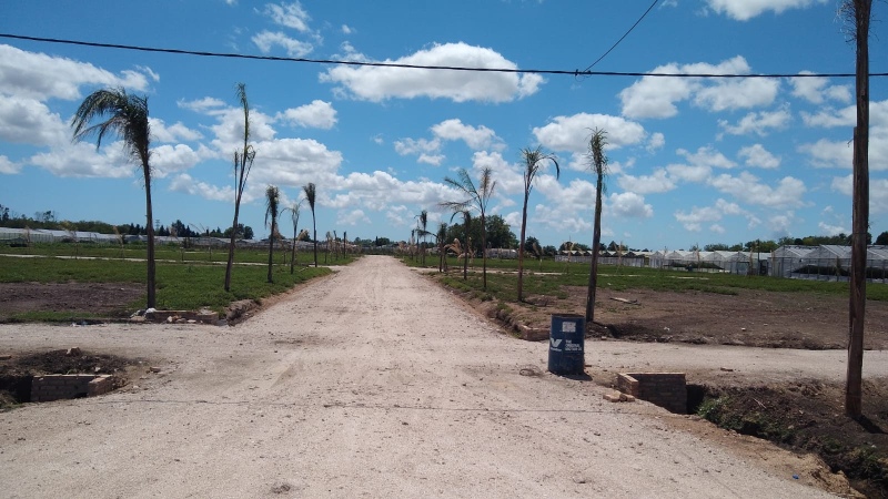 La Plata: Clausuran loteos en zonas rurales de la ciudad no aptas para urbanizar