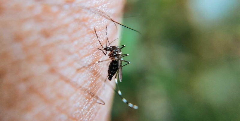 Ya son más de 180 mil los casos de Dengue en el país