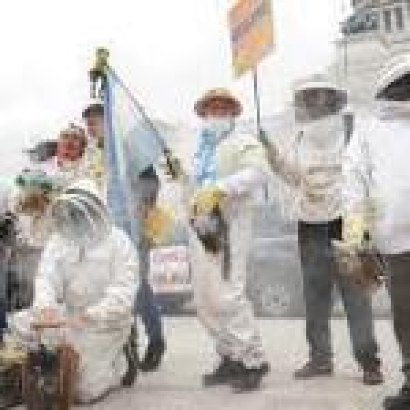 La Sociedad Argentina de Apicultores realizó un “Abejazo”: regalaron miel a modo de protesta