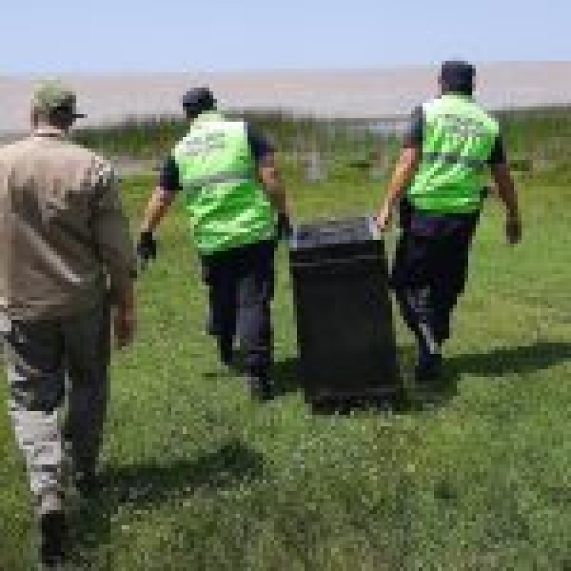 Un lobo Marino perdido en las costas Berisso fue liberado por la Policía Ecológica en Magdalena