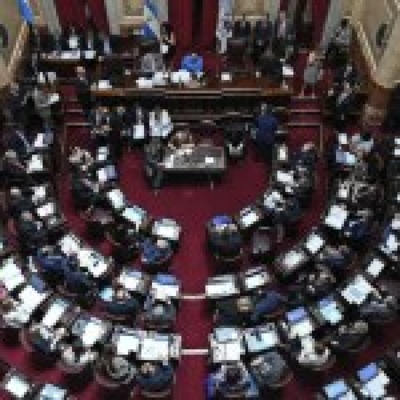 Nuevos legisladores: analizan la división de la Provincia de Buenos Aires 