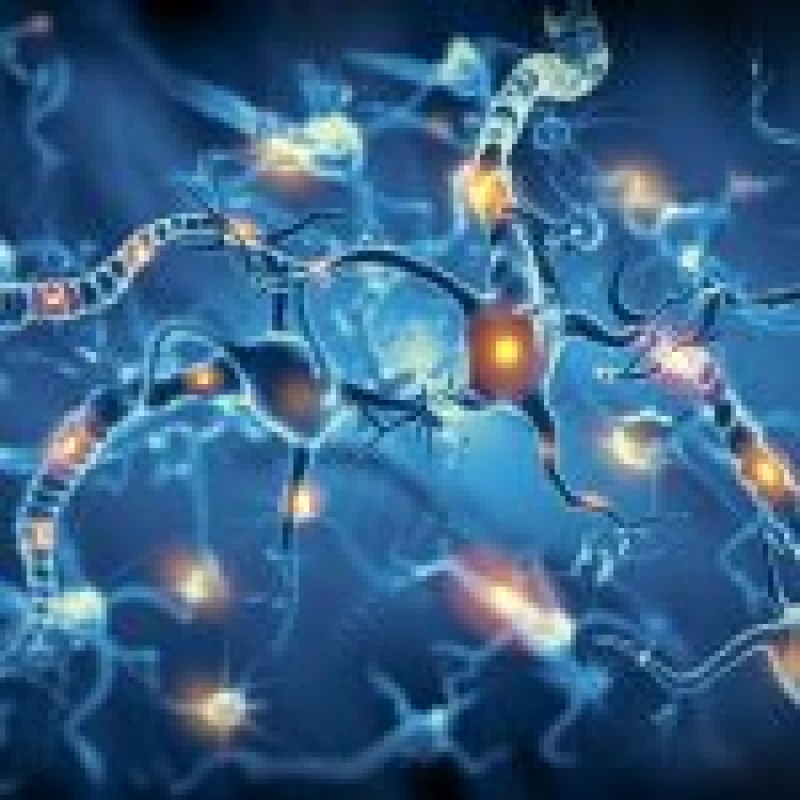 Un grupo de investigadores utilizará una red de neuronas artificiales para estudiar el Autismo