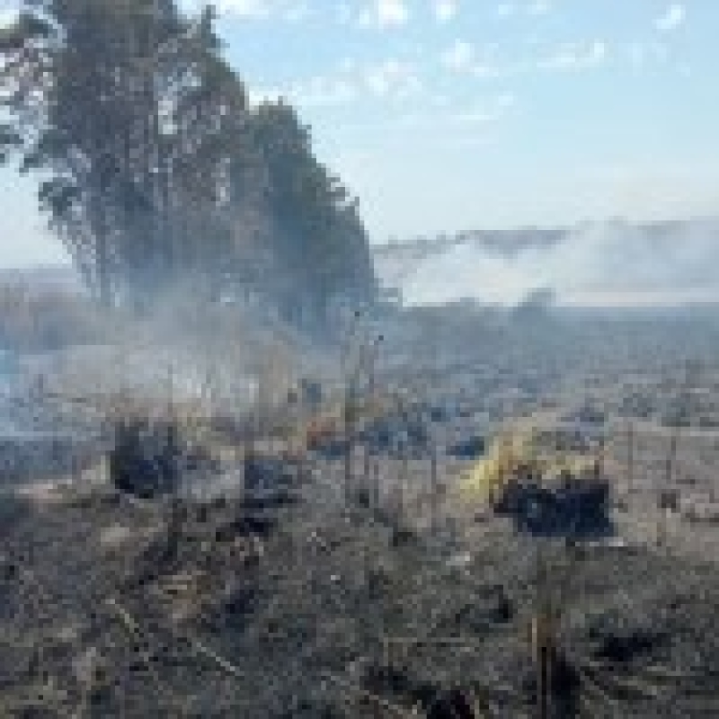 Dos focos de incendio dejaron viviendas arrasadas y familias evacuadas en Mar del Plata