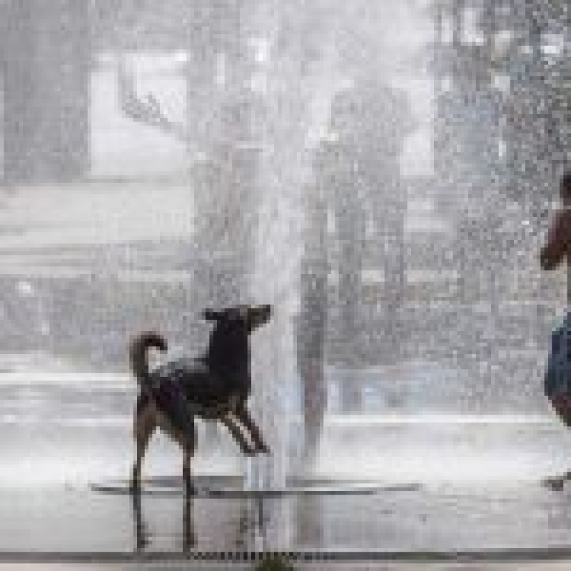Nueve provincias entraron en alerta rojo por las altas temperaturas